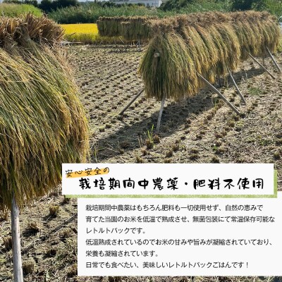 レトルトごはん(五穀玄米) 10パックセット 化学調味料無添加・無菌　aw03005