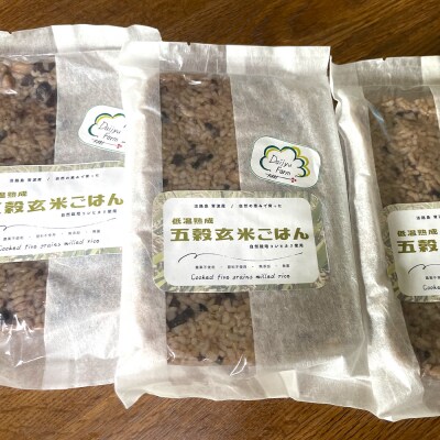 レトルトごはん(五穀玄米) 10パックセット 化学調味料無添加・無菌　aw03005