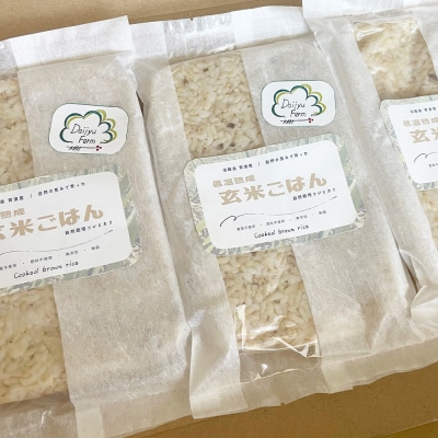 レトルトごはん(玄米) 10パックセット 化学調味料無添加・無菌　aw03006