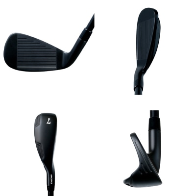 ワークスゴルフ MACHアイアン 6本セット プレミア飛匠・極 (R/#5～PW)　at10815