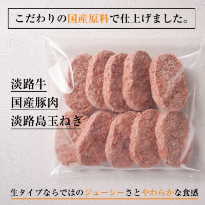 精肉店仕込みの手ごねハンバーグ1.5kg(150g×10個) 【3D急速冷凍】　aa16041