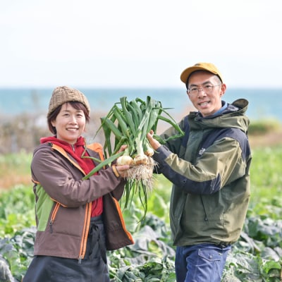 【淡路島のあま～い新玉ねぎ】淡路島ファーム太陽と海から期間限定でお届け 2kg　aa17005