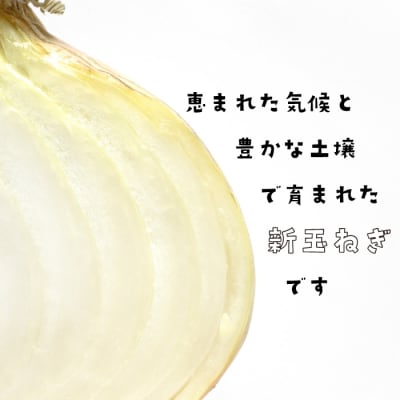 淡路島産新玉ねぎ 5kg　ak29022