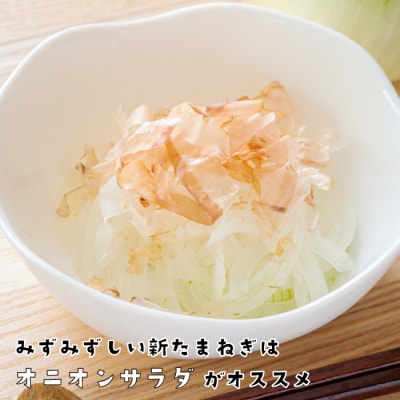 淡路島産新玉ねぎ 5kg　ak29022