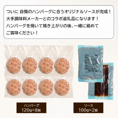 淡路島手作りハンバーグ120g 8個　オリジナルソース付　an07041