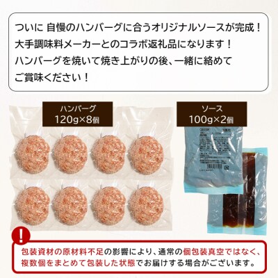 淡路島手作りハンバーグ120g 8個　オリジナルソース付　an07041