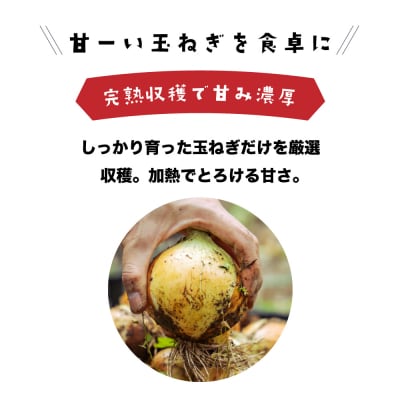 健幸農園の完熟淡路島産玉ねぎ 5kg　ak29807