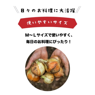 健幸農園の完熟淡路島産玉ねぎ 5kg　ak29807