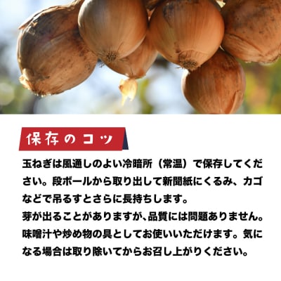 健幸農園の完熟淡路島産玉ねぎ 5kg　ak29807