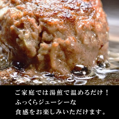 【定期便3ヶ月】淡路玉ねぎたっぷりハンバーグ(特製ソース付)140g×6個　ay05032