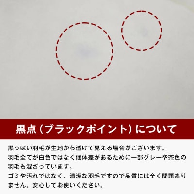 薄掛け羽毛 合い掛け 日本製 600g エクセルゴールド 軽量生地 ふわかる1506　ao12001