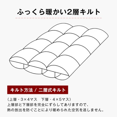 ハンガリーマザーダック95% 二層式 羽毛布団1.3kg SL 25738 ピンク　ao12003