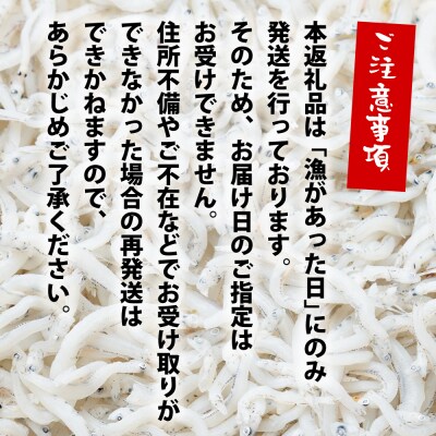 淡路島産【ゆでたて直送】釜揚げしらす 640g(80g×8パック)【到着日指定不可】　ah08011