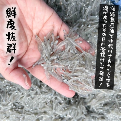 淡路島産【ゆでたて直送】釜揚げしらす 640g(80g×8パック)【到着日指定不可】　ah08011