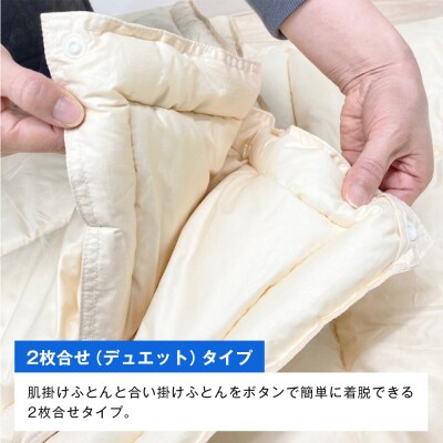 清潔掛ふとん 洗えるインビスタ ダクロン 2枚合わせ 日本製 SL ふわもち15TW　ao12012
