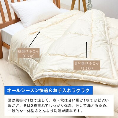 清潔掛ふとん 洗えるインビスタ ダクロン 2枚合わせ 日本製 SL ふわもち15TW　ao12012