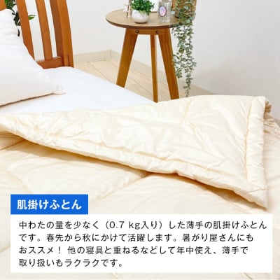 清潔掛ふとん 洗えるインビスタ ダクロン 肌掛布団 日本製 SL ふわもち1507　ao12013