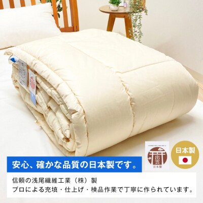 清潔掛ふとん 洗えるインビスタ ダクロン 肌掛布団 日本製 SL ふわもち1507　ao12013