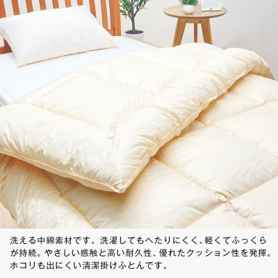 清潔掛ふとん 洗えるインビスタ ダクロン 掛布団 日本製 SL ふわもち1518　ao12014