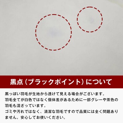 羽毛ふとん 日本製 1.0kg入 エクセルゴールド 軽量生地 ムジ ふわかる1510　ao12021