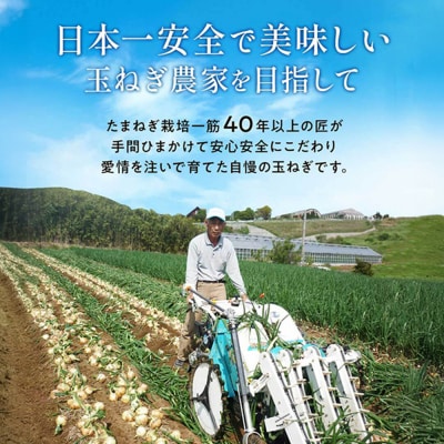 今井ファームの淡路島たまねぎ加工品福袋　ai01748