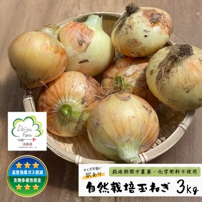自然栽培玉ねぎ 3kg 《大小様々なサイズのため訳あり》　aw03012