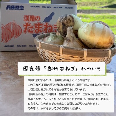 自然栽培玉ねぎ 3kg 《大小様々なサイズのため訳あり》　aw03012