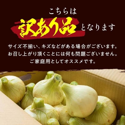 【訳あり】今井ファームの淡路島たまねぎ 10kg【サイズ混合S～2L】　ai01103