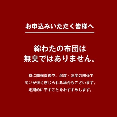 シングル 綿わた100% 和式キルト式 敷ふとん ベッド用 2.5kg入 124P　ao12019