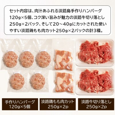 淡路島のお肉グルメ詰め合わせセット(ハンバーグ・牛肉・鶏肉) 合計1.6kg　an07046