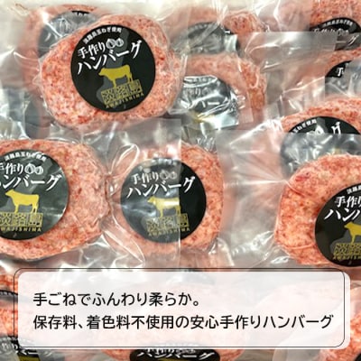 【数量限定】淡路島手作りハンバーグ 15個【2027年1月より順次発送】　an07073