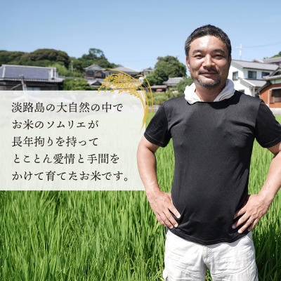 【定期便】野添農園のキヌヒカリ5kgx12ヶ月「ひょうご安心ブランド」　as03812