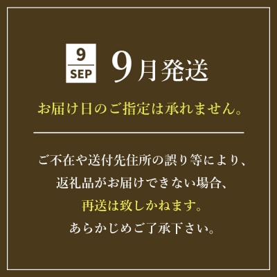 常盤　葡萄(マスカットベリーAとシャインマスカット) 【9月発送・到着日指定不可】　at24001