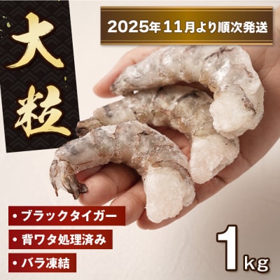 至福の大粒むきえび　背ワタ処理済 1kg【2025年11月より順次発送】　ao10009