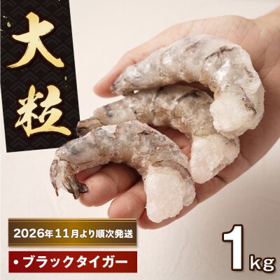至福の大粒むきえび　背ワタ処理済 1kg【2026年11月より順次発送】　ao10025