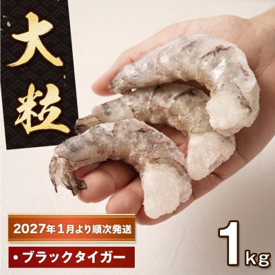 至福の大粒むきえび　背ワタ処理済 1kg【2027年1月より順次発送】　ao10029