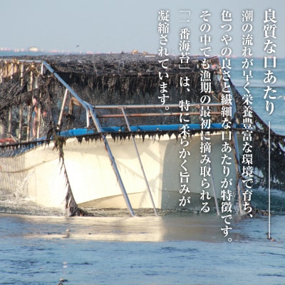 新海苔使用 わさび味のり 8切×5枚×16袋(板のり10枚)×5袋　am10003