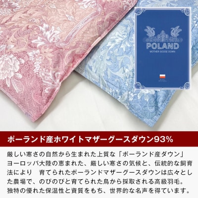 ポーランドマザーグース93% 80超長綿 合掛羽毛 700g SL 80マザー07B　ao12026
