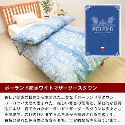 プレミアムゴールド ポーランドマザーグース95% 二層式 80超長綿 (830B) 　ao12035