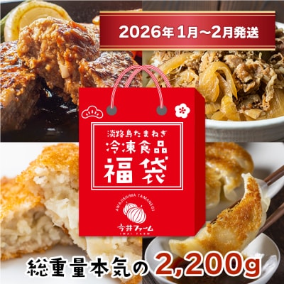 今井ファームの冷凍食品お楽しみ福袋【2026年1月～2月発送】　ai01116