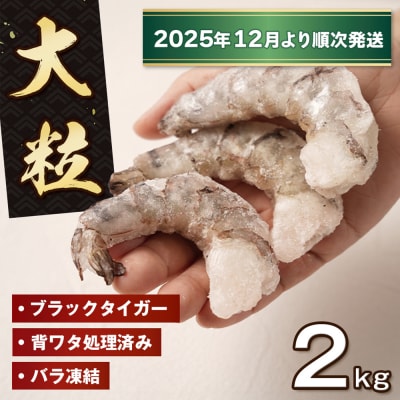 至福の大粒むきえび 背ワタ処理済2kg(1kg×2袋)【2025年12月～順次発送】　ao10013
