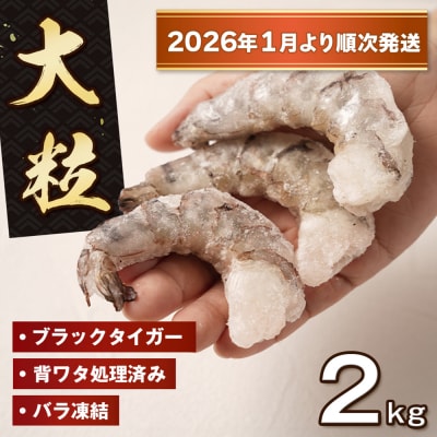至福の大粒むきえび 背ワタ処理済2kg(1kg×2袋)【2026年1月より順次発送】　ao10014