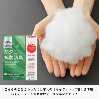 70×200cm ごろ寝敷ふとん 抗菌防臭防ダニ 小さめ 合繊4層敷布団 きなり無地　ao12041