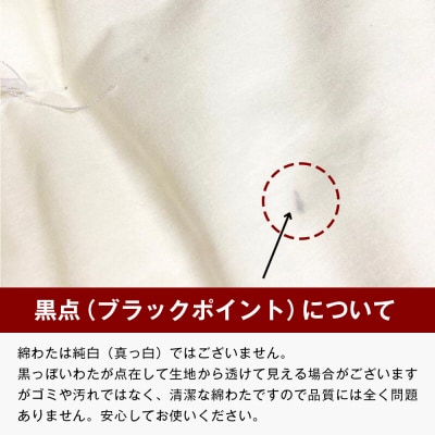 約60×90cm ミニサイズ 手作り 保育園 お昼寝敷布団 綿100% 1.5kg入　ao12043