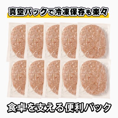 淡路島たまねぎのびっくり旨みハンバーグ 200g×52個 ※13個入×4箱　am09003
