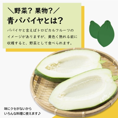 淡路の青パパイヤ1個と青パパイヤ・イチジクジャム2本セット　an10008