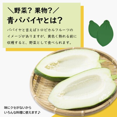 あわじ青パパイヤピクルス(オリジナル・カレー)と青パパイヤ・イチジクジャム3本セット　an10013