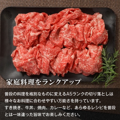 【A5ランク限定】淡路島産黒毛和牛 切り落とし 1kg(500g×2PC)　aa16044