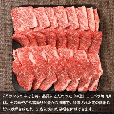 【A5ランク限定】淡路島産黒毛和牛 『特選』モモバラ焼肉用 1kg(500g×2P)　aa16046