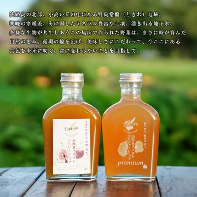 淡路島オリジナルシロップ詰め合わせ(いちじく・プレミアムジンジャー各1本)　aa51001